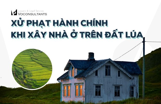 5. xay nha tren dat trong lua